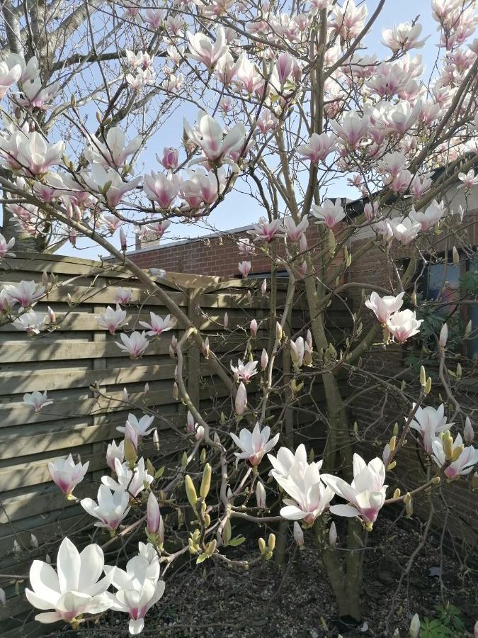 Vakantiewoning Lily Appartement Oudenburg Buitenkant foto