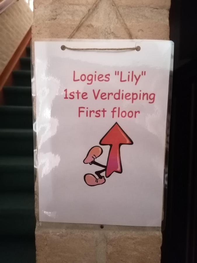Vakantiewoning Lily Appartement Oudenburg Buitenkant foto